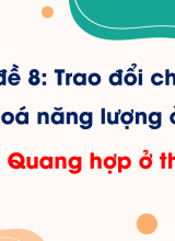 Bài 18. Quang hợp ở thực vật